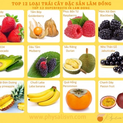 Top 12 specialty fruits of Lam Dong