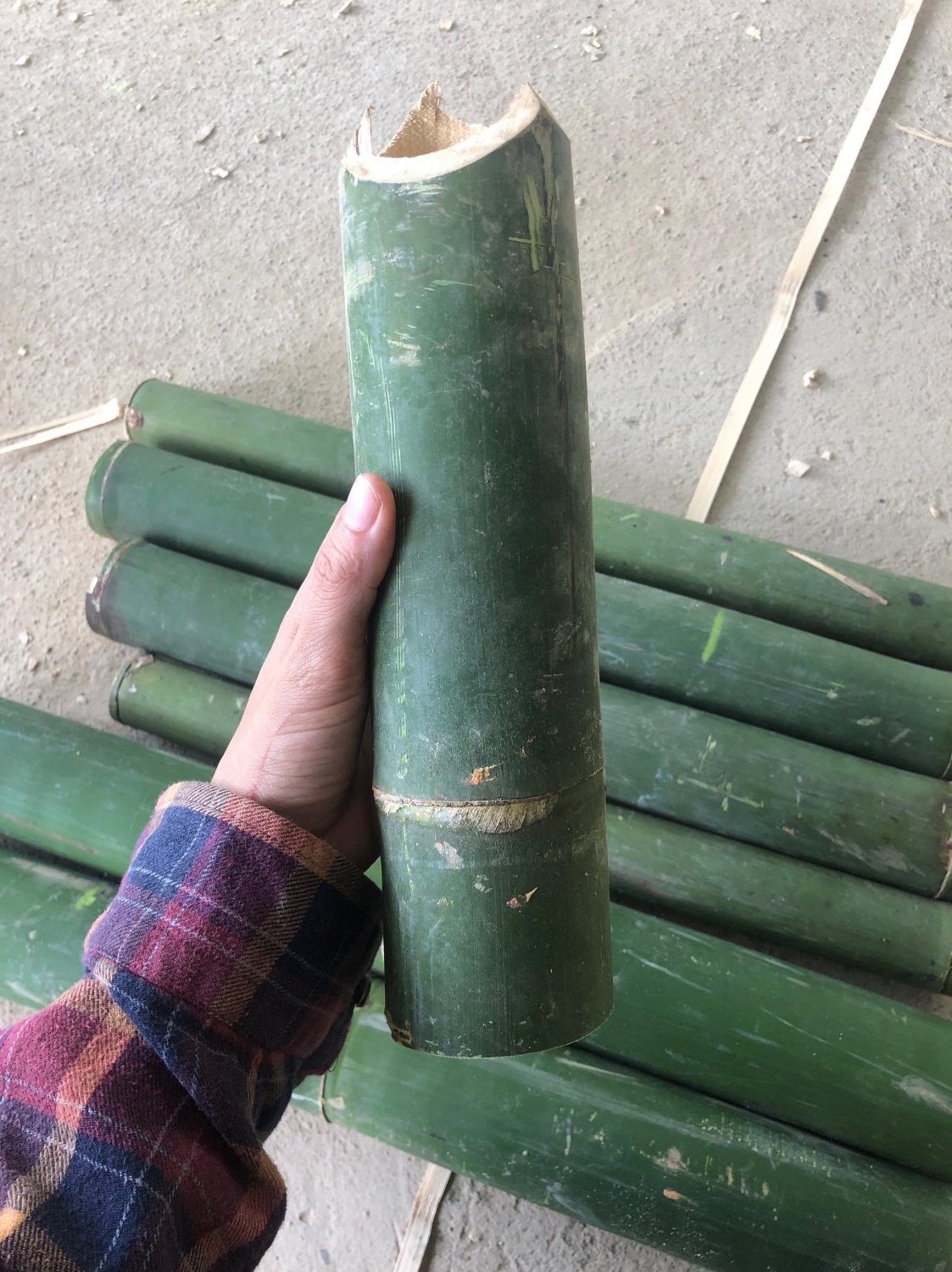 Cây tre Mum cột chống cây ăn trái 3.000 cây/xe