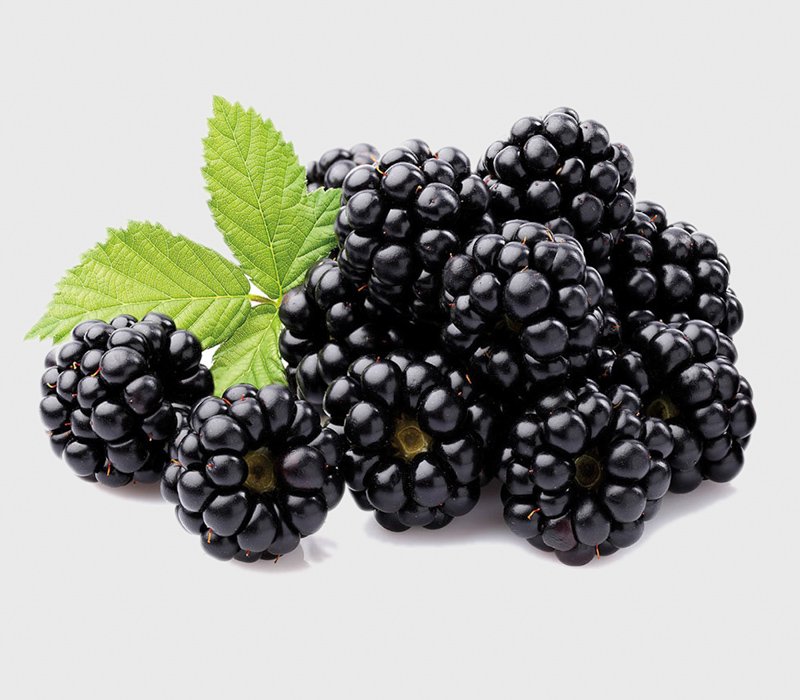 Mâm xôi đen - Phúc bồn tử đen - Blackberries - 1 kg