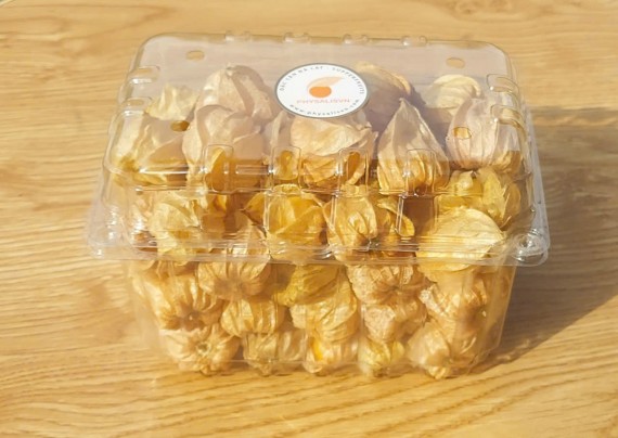 Trái Tầm Bóp tươi 500G