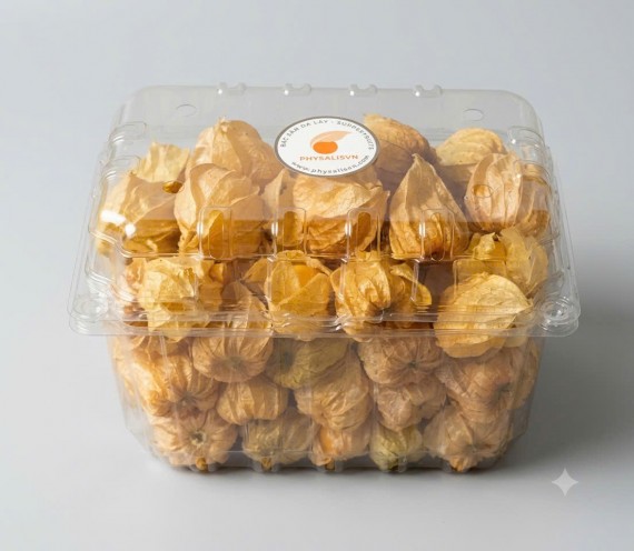 Quả Tầm Bóp tươi 500G