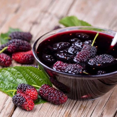 “Swing away” the heat of summer with mulberry concentrated recipe