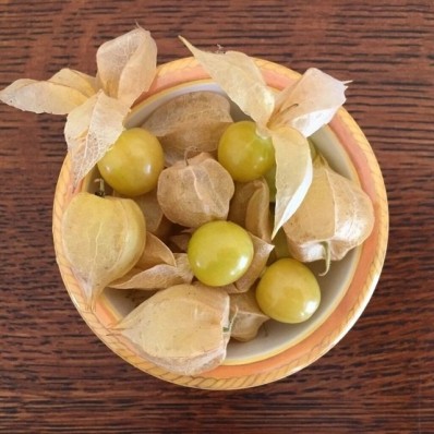 6+ Health benefits from Vietnamese wild golden berry