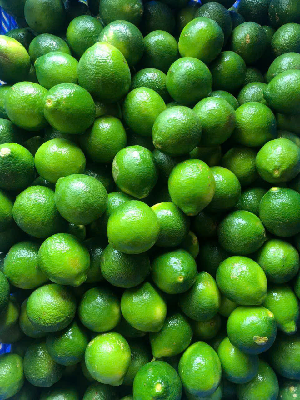 Ép Chanh xanh (lime) 10kg
