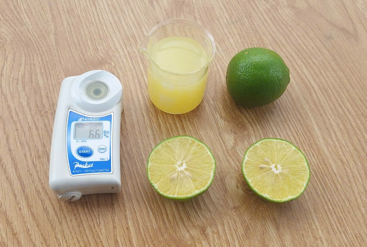 Ép Chanh xanh (lime) 10kg