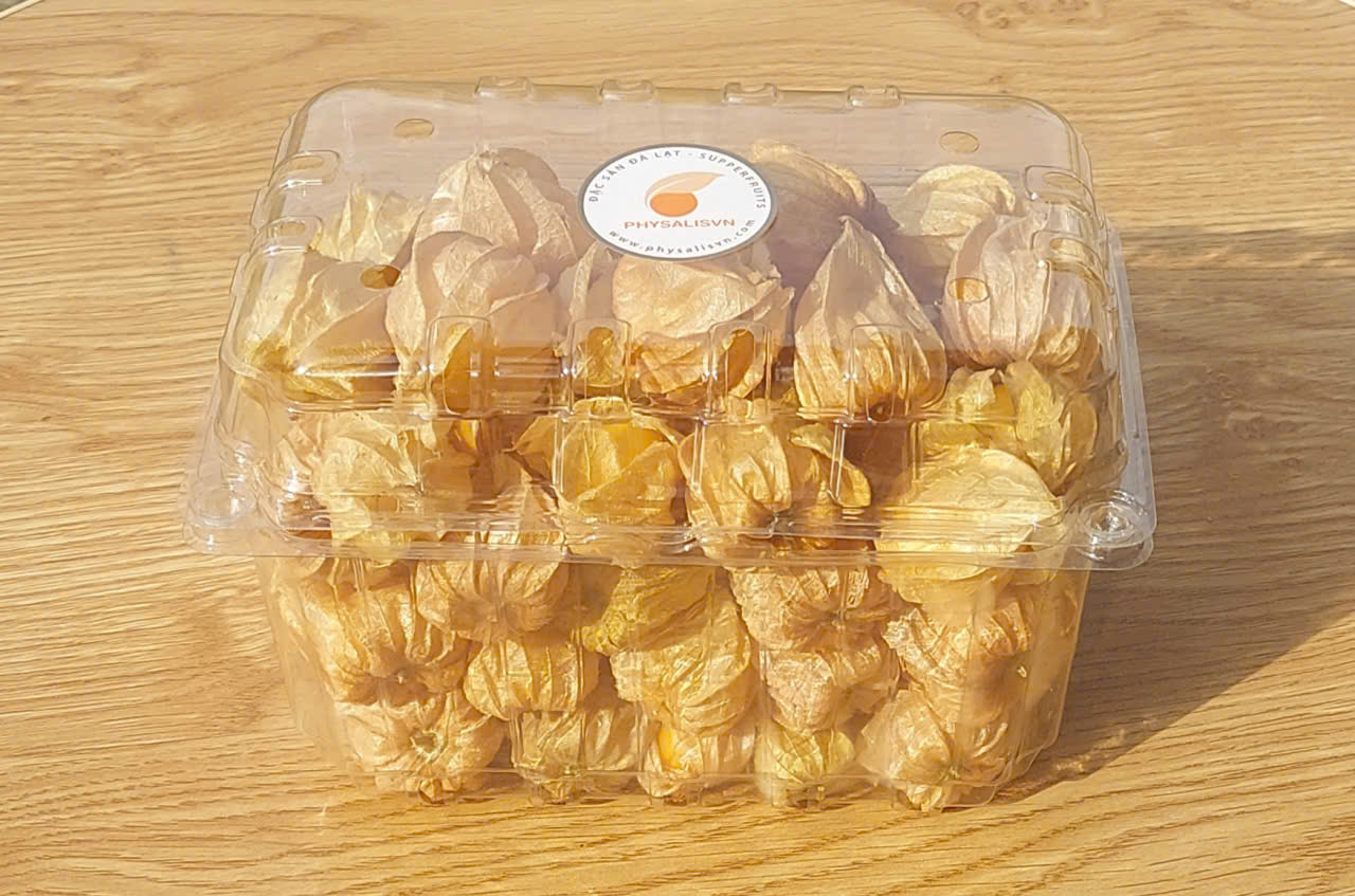 Trái Tầm Bóp tươi 500G