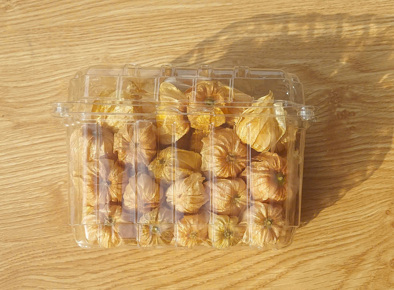 Trái Tầm Bóp tươi 500G